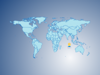 世界地图嵌套饼图 [地理坐标]