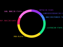 环图 [饼图]